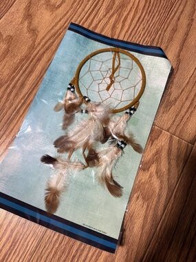 Dreamcatcher Wall Art Print - Teal and Brown